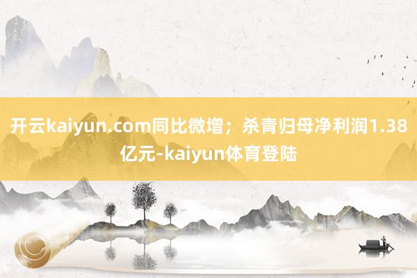 开云kaiyun.com同比微增；杀青归母净利润1.38亿元-kaiyun体育登陆