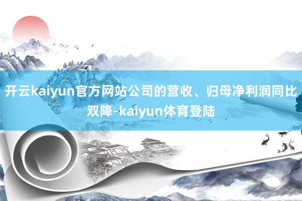 开云kaiyun官方网站公司的营收、归母净利润同比双降-kaiyun体育登陆
