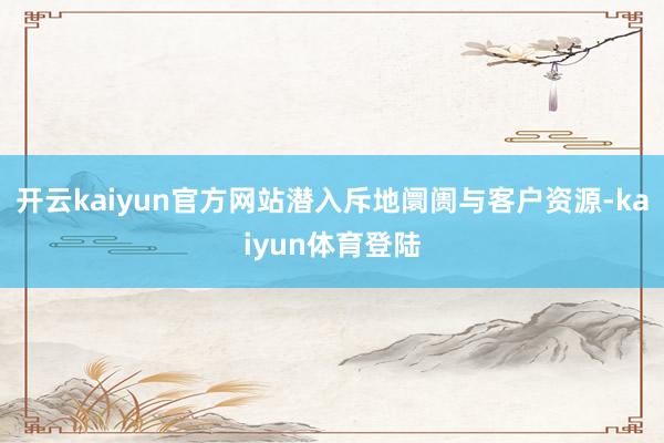 开云kaiyun官方网站潜入斥地阛阓与客户资源-kaiyun体育登陆