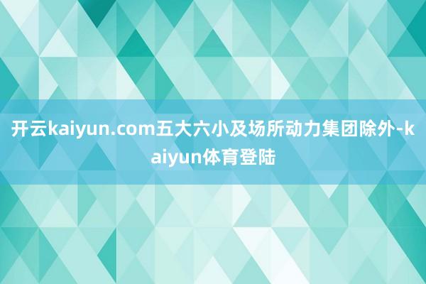 开云kaiyun.com五大六小及场所动力集团除外-kaiyun体育登陆