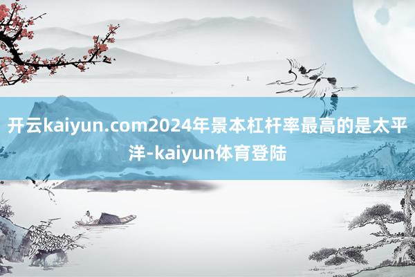 开云kaiyun.com2024年景本杠杆率最高的是太平洋-kaiyun体育登陆