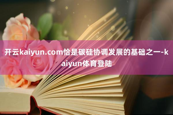 开云kaiyun.com恰是碳硅协调发展的基础之一-kaiyun体育登陆