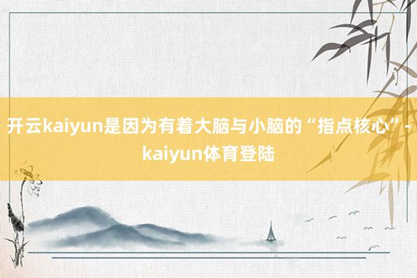 开云kaiyun是因为有着大脑与小脑的“指点核心”-kaiyun体育登陆